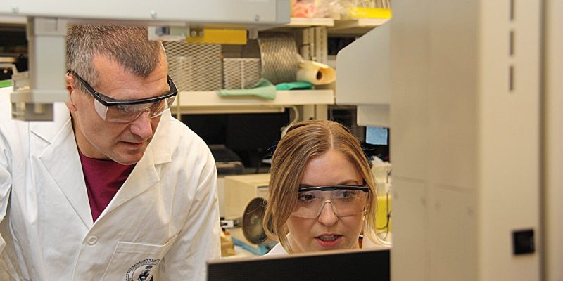 Eine Studie legt nahe, dass die Leber Palmitinsäure erzeugen kann, um die Gesundheit des Gehirns zu erhalten