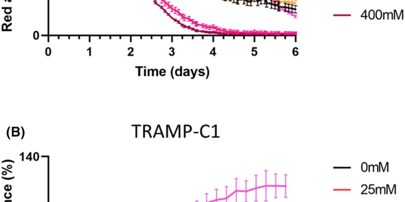 Ein natürlich vorkommendes Molekül verspricht eine wirksame Erstbehandlung bei Prostatakrebs