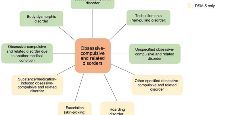 Verständnis der Rolle von Erkenntnissen bei der Behandlung und Neurobildgebung