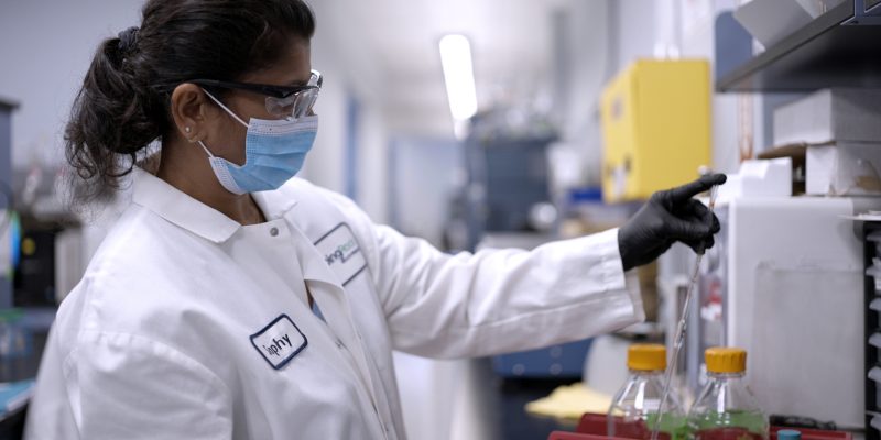 Wie Piping Rock das Wohlbefinden mit hochwertigen Nahrungsergänzungsmitteln stärkt