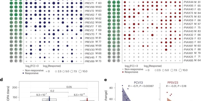 Forscher untersuchen, warum Impfstoffe bei manchen älteren Erwachsenen nicht so gut wirken
