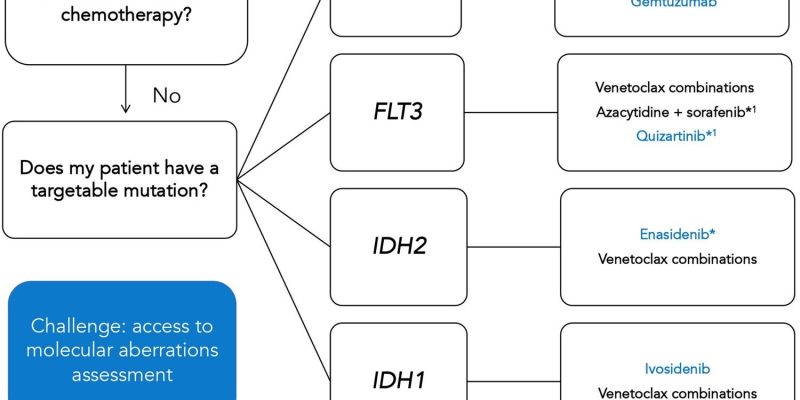 Ressourcenknappheit und technologische Verzögerung bleiben Hindernisse für die Behandlung von akuter myeloischer Leukämie in Lateinamerika