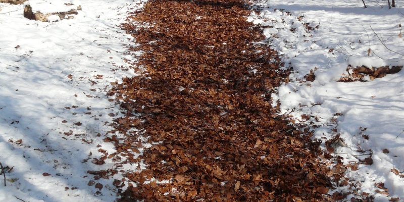 So starten Sie mit Joggen bei kaltem Wetter gut ins neue Jahr
