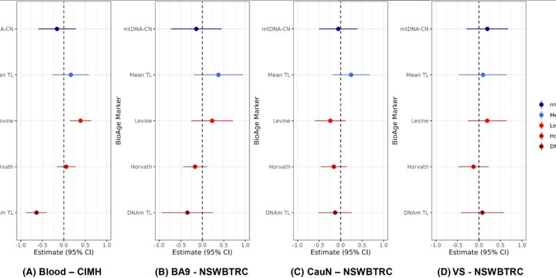 Anzeichen einer beschleunigten Alterung im Gehirn von Personen mit Alkoholkonsumstörung