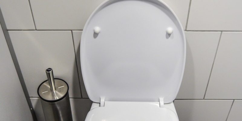 Neue Analysen zeigen, dass Desinfektion der wirksamste Weg ist, eine Viruskontamination von Toilettenoberflächen zu verhindern